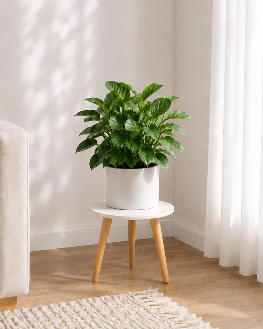 Plant Stand Indoor Small Plant Table for Large Plant
